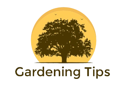 Home Gardening Guidance