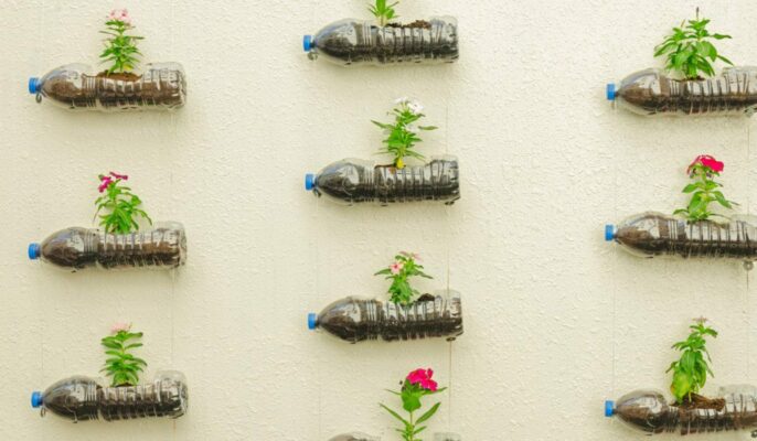 Home Gardening